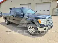 2013 Ford F-150 photo