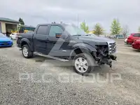 2013 Ford F-150 фото