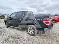 2013 Ford F-150 фото