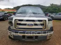 2013 Ford F-150 photo