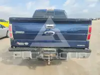 2013 Ford F-150 photo