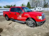 2013 Ford F-150 фото