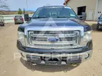 2013 Ford F-150 photo