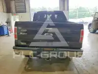 2013 Ford F-150 photo