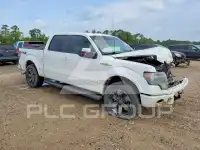 2013 Ford F-150 фото