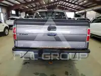 2013 Ford F-150 photo