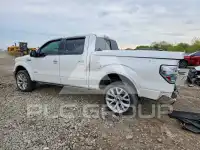 2013 Ford F-150 photo