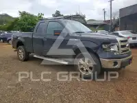 2013 Ford F-150 photo