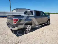 2013 Ford F-150 photo