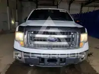 2013 Ford F-150 photo