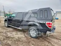 2013 Ford F-150 фото