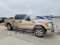 2013 Ford F-150 photo
