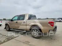 2013 Ford F-150 photo