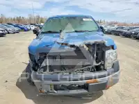 2013 Ford F-150 photo