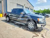 2013 Ford F-150 photo