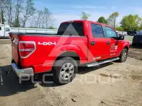 2013 Ford F-150 фото