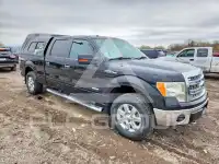 2013 Ford F-150 фото