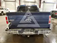 2013 Ford F-150 photo
