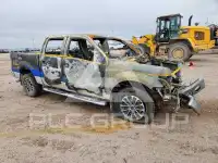 2013 Ford F-150 фото