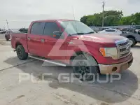 2013 Ford F-150 фото