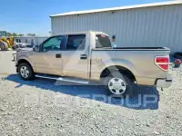 2013 Ford F-150 фото