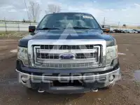 2013 Ford F-150 photo
