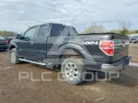 2013 Ford F-150 photo