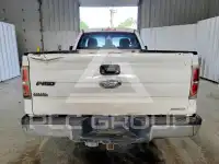 2013 Ford F-150 фото