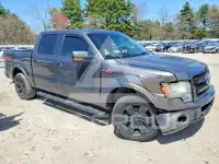 2013 Ford F-150 photo