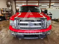 2013 Ford F-150 фото