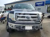 2013 Ford F-150 фото