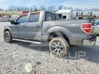 2013 Ford F-150 фото