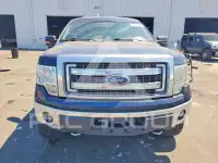 2013 Ford F-150 фото
