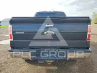 2013 Ford F-150 photo