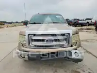 2013 Ford F-150 photo