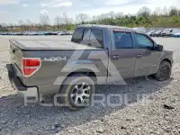 2013 Ford F-150 фото