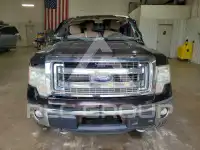 2013 Ford F-150 photo