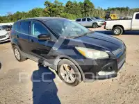 2013 Ford ESCAPE photo