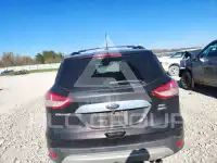 2013 Ford ESCAPE photo