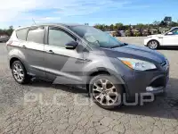2013 Ford ESCAPE photo