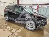 2013 Ford ESCAPE photo