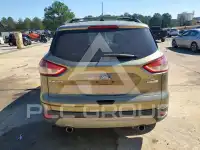 2013 Ford ESCAPE photo