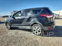 2013 Ford ESCAPE photo