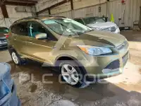 2013 Ford ESCAPE фото