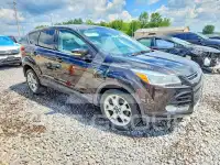 2013 Ford ESCAPE фото
