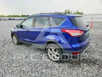 2013 Ford ESCAPE photo