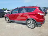 2013 Ford ESCAPE photo