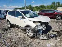 2013 Ford ESCAPE фото