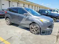 2013 Ford ESCAPE фото