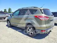2013 Ford ESCAPE photo